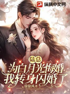 我转身闪婚了陆云瑶