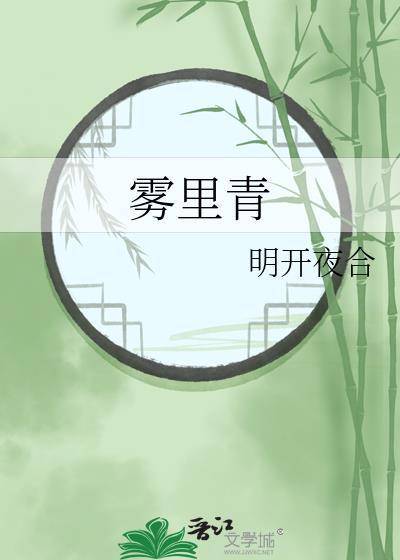 雾里青茶叶