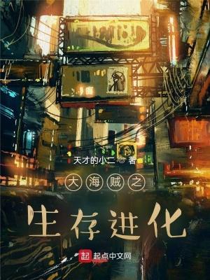 大海贼攻略大全