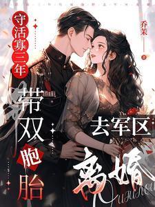 带双胞胎去军区离婚 乔茉 / 著