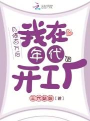 我在年代开工厂txt
