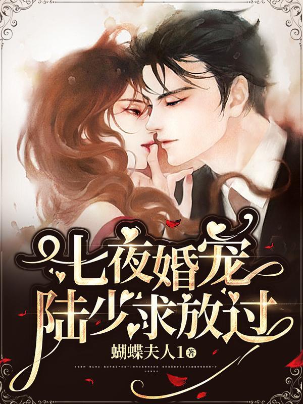 七夜婚宠陆少求放过阅读