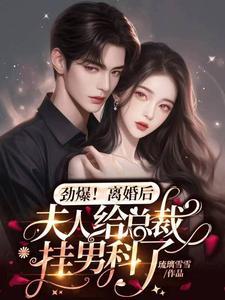 离婚后夫人给总裁挂男科了最新