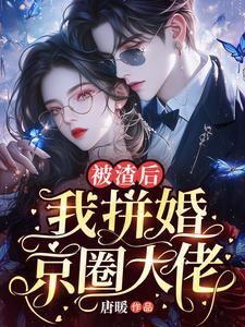 被渣后我嫁给了大佬免费