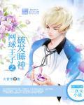 网球王子之破发睡神晋江