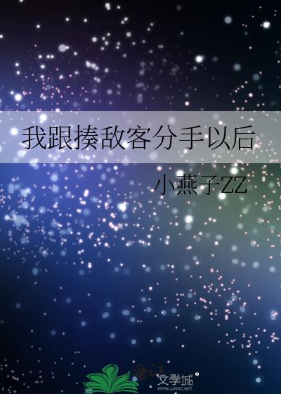 我跟揍敌客分手以后免费阅读