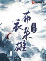 布衣枭雄漫剧