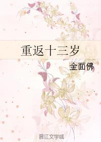 重返十三岁金面佛讲的什么