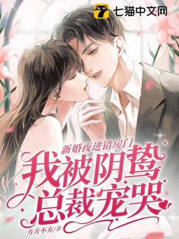 新婚夜进错房门我被阴鸷总裁宠哭