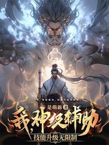 神级辅助系统
