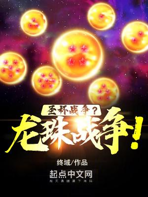 圣杯战争?龙珠战争!无错