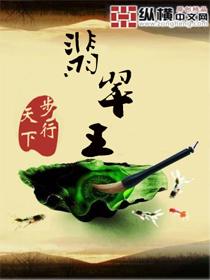 翡翠王朝杨牧仁身价多少
