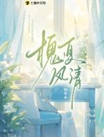 槐夏风清TXT百度