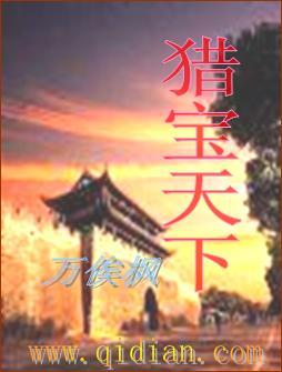 猎宝天下的最新章节