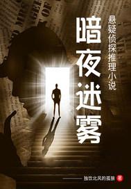 暗夜迷雾免费观看最新章节