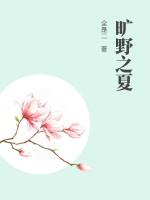 旷野之夏TXT百度