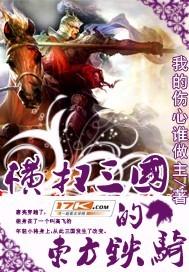 横扫三国的东方铁骑 第95章