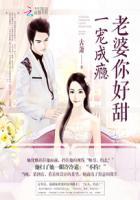 宠妻入骨老婆你好甜作者言清欢