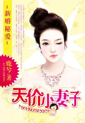 新婚秘爱天价小妻子全文免费阅读
