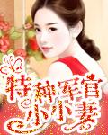特种军官小小妻作者