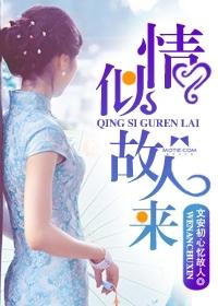 情似故人来by文安初心忆故人