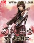 龙魂武士 系列介绍