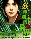 我电脑中的异界在线