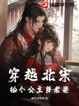 穿越宋朝娶公主的