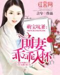 前妻乖乖入怀