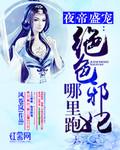 夜帝盛宠绝色邪妃哪里逃