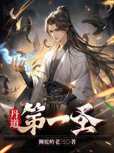 丹道第一圣动漫在线观看