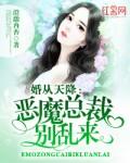 总裁大人请站好