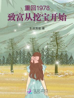 重回1978致富从挖宝开始的大纲怎么写?