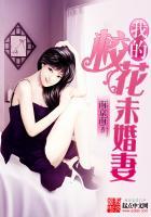 我的校花未婚妻叶子全文