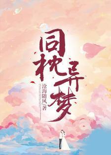 同枕异梦全集