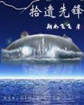 拾遗者什么意思