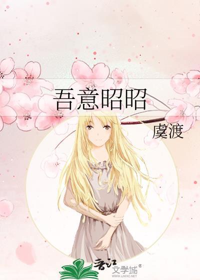 吾意昭昭讲的什么