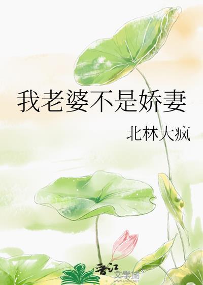 我老婆不是娇妻by北林大疯