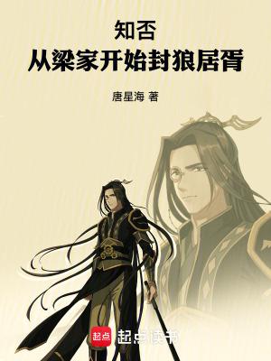 知否从梁家开始封狼居胥无错漏