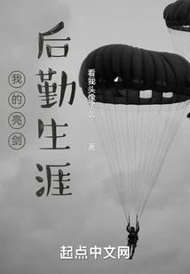 我的亮剑后勤生涯免费阅读