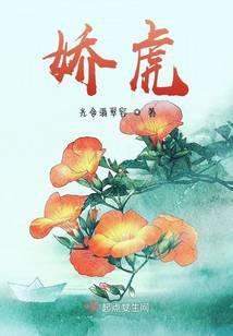 功夫熊猫娇虎