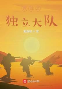 亮剑之独立大队txt免费全本