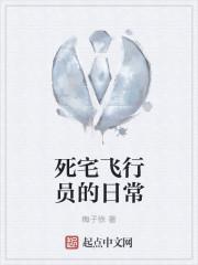 类似死宅飞行员的日常的