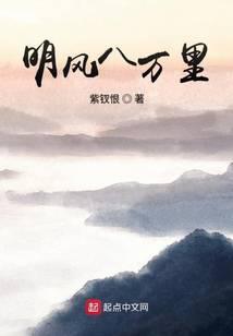 明风八万里书评