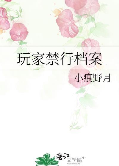 我的世界玩家档案