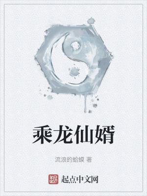 乘龙仙婿TXT精校