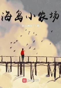 海岛小农场全本TXT