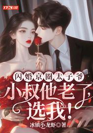闪婚京圈太子爷小叔他老了