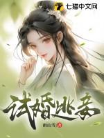 试婚逃妾TXT