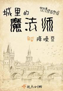 城里的魔法师TXT全本免费阅读
